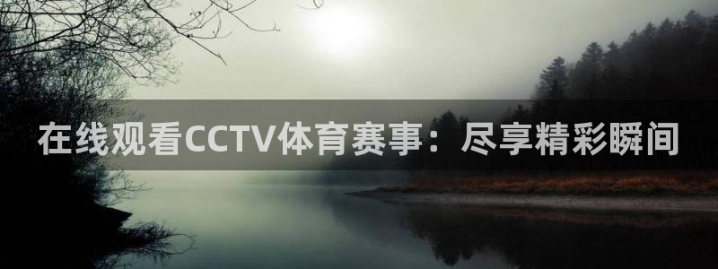 24直播nba直播：在线观看CCTV体育赛事：尽享精彩瞬间