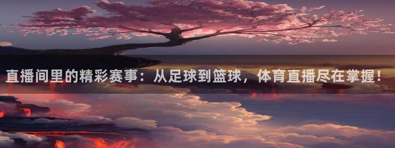nba直播24直播网：直播间里的精彩赛事：从足球到篮球，体育直播尽在掌握！