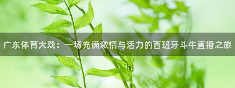 24直播平台：广东体育大戏：一场充满激情与活力的西班牙斗牛直播之旅