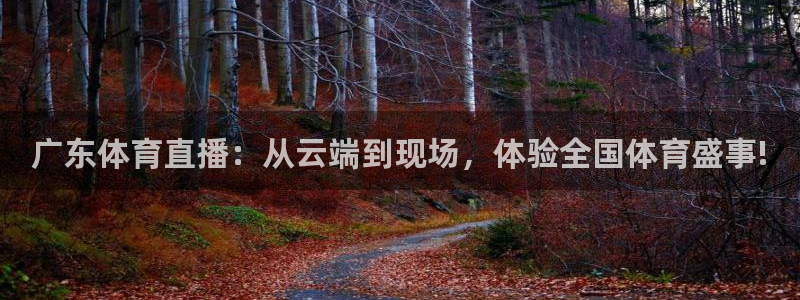 24直播篮球：广东体育直播：从云端到现场，体验全国体育盛事!