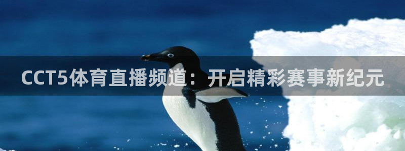 24直播免费足球直播178：CCT5体育直播频道：开启精彩赛事新纪元