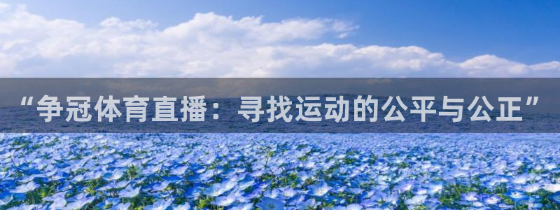 24直播 足球：“争冠体育直播：寻找运动的公平与公正”