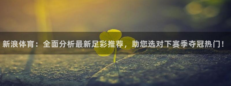 足球比赛直播24直播：新浪体育：全面分析最新足彩推荐，助您选对下赛季夺冠热门！