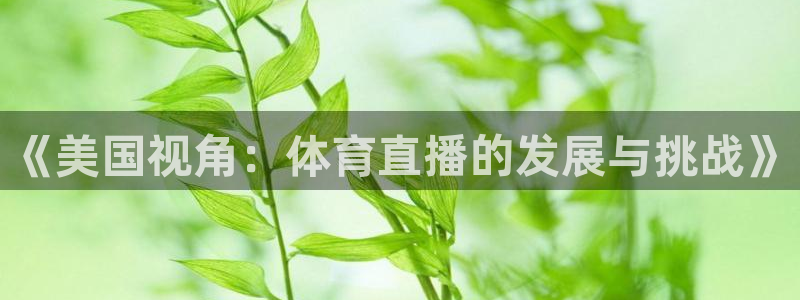 24直播网jrs：《美国视角：体育直播的发展与挑战》