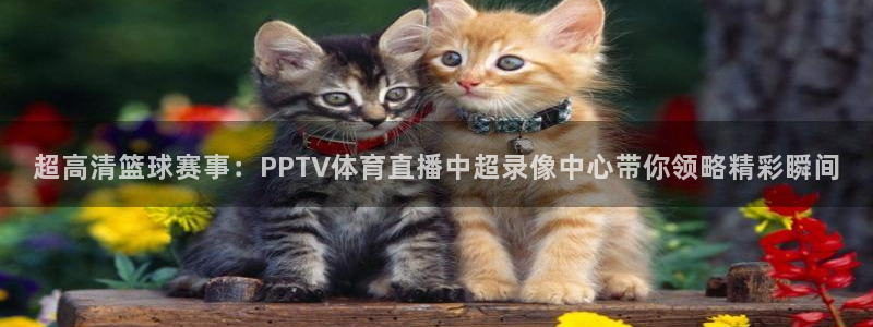 24直播网官网：超高清篮球赛事：PPTV体育直播中超录像中心带你领略精彩瞬间