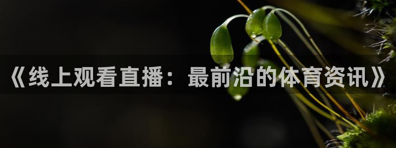 24直播体育免费观看入口：《线上观看直播：最前沿的体育资讯》
