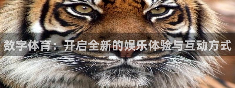 24直播体育在线看：数字体育：开启全新的娱乐体验与互动方式