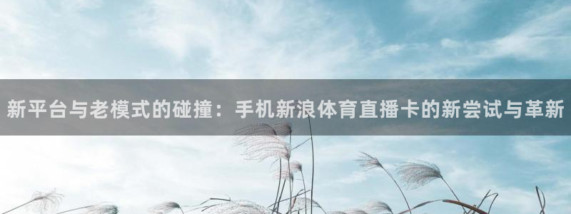 24直播网nba官网下载：新平台与老模式的碰撞：手机新浪体育直播卡的新尝试与革新