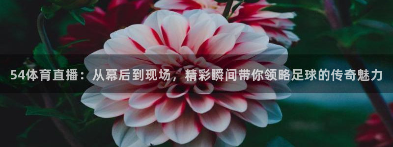 24直播免费足球直播：54体育直播：从幕后到现场，精彩瞬间带你领略足球的传奇魅力